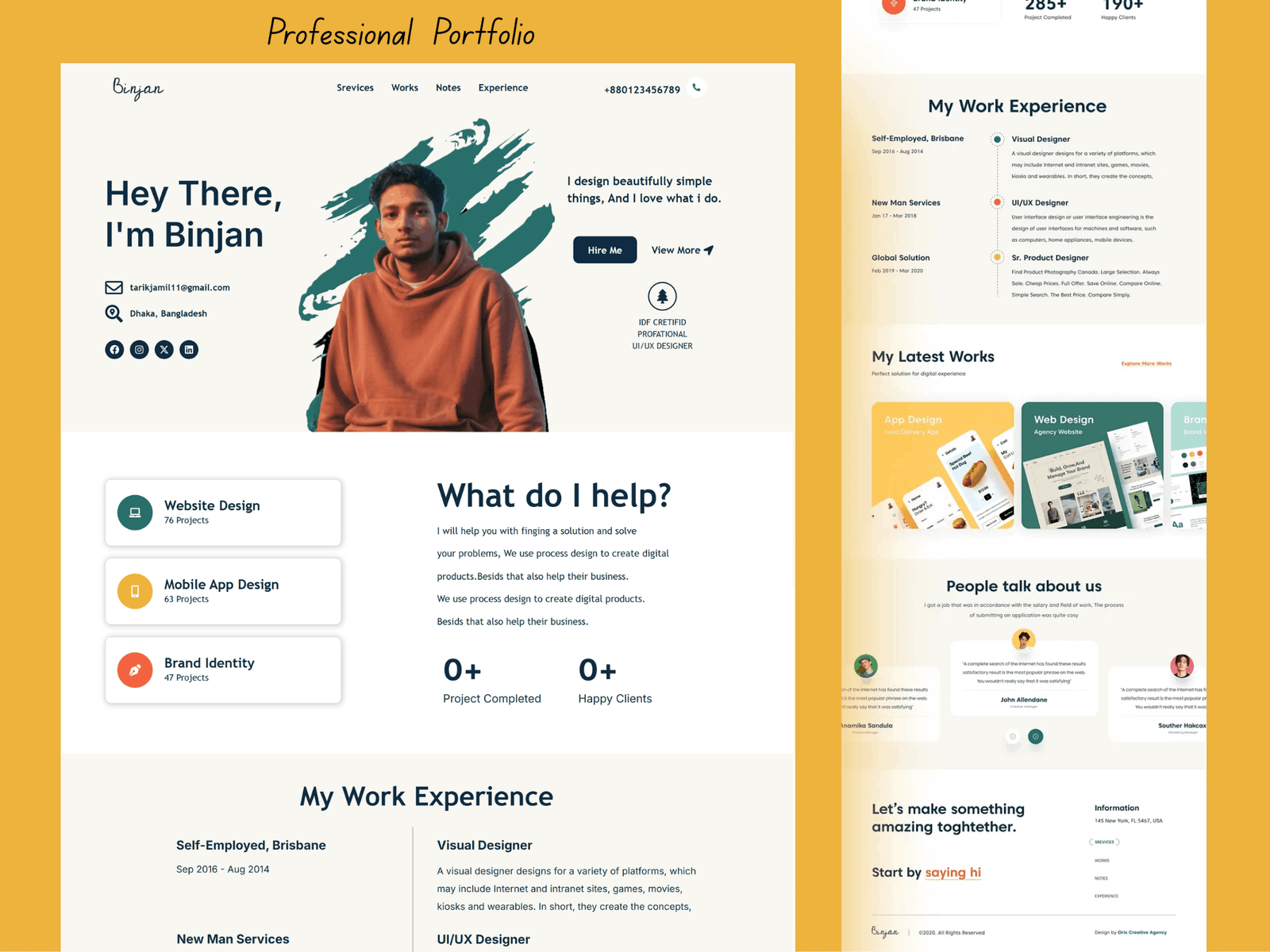 Professional Portfolio